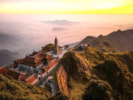 M Village Living Cách Mạng Tháng 8